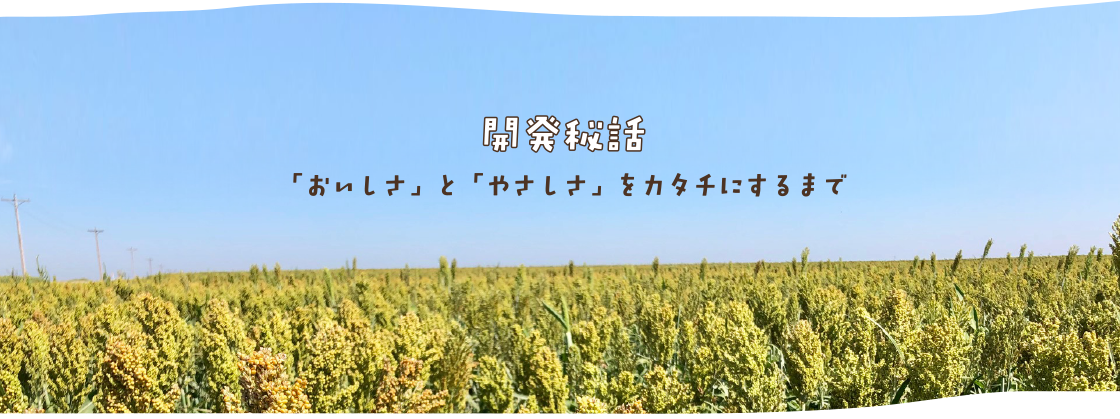 開発秘話