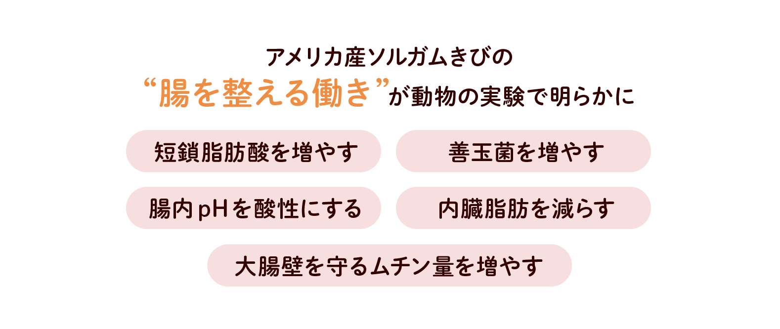 腸を整える働き